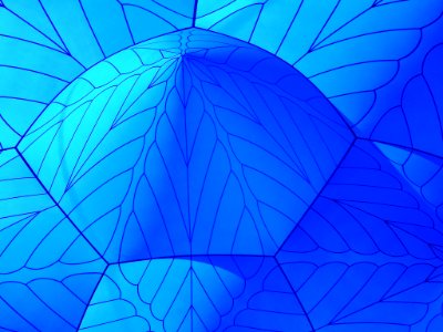 ACMI’s Arboria: Architects of Air