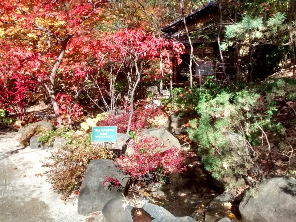 IMG 20151026 105226758 HDR