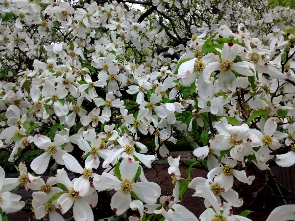IMG 20150519 162710034