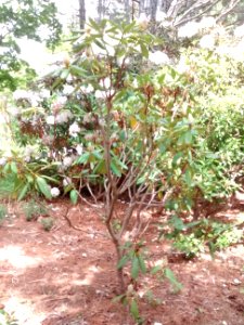 IMG 20150526 143138475