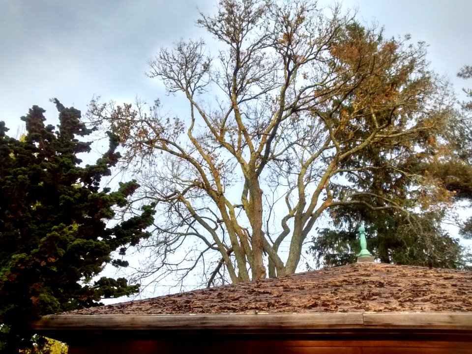 IMG 20151029 165613388 HDR