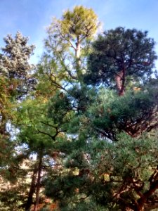 IMG 20151026 111424854 HDR