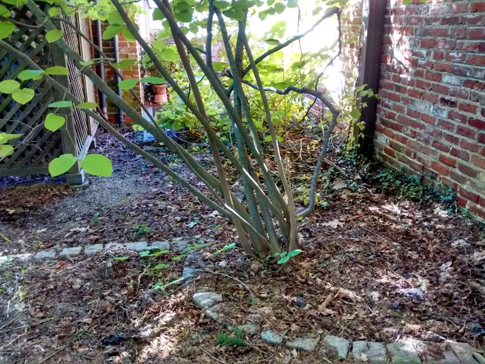 IMG 20151010 132047776 HDR