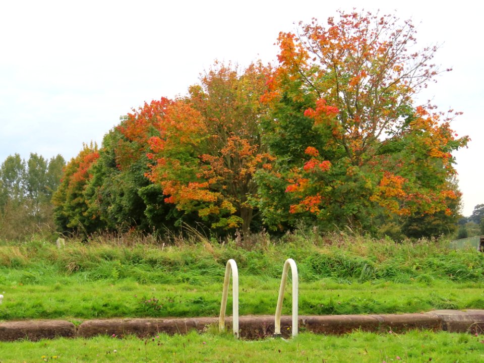 Autumnal Sandbach photo