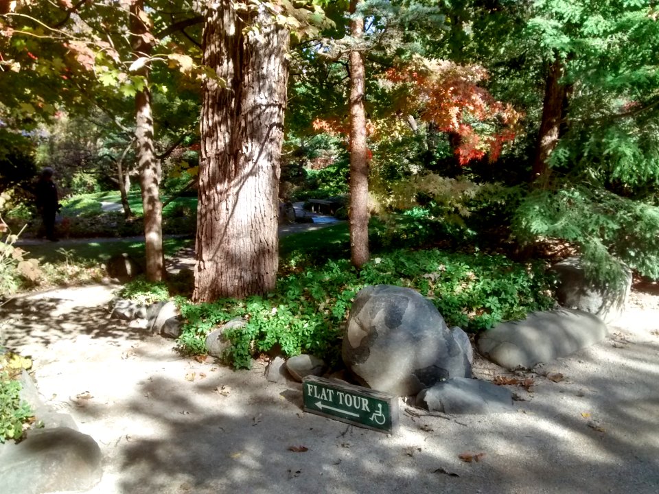 IMG 20151026 110028657 HDR