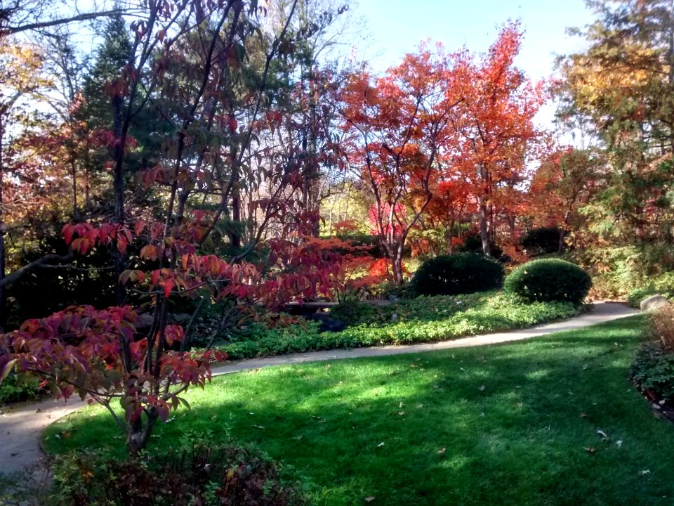 IMG 20151026 110519981 HDR