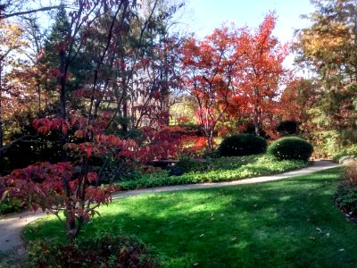 IMG 20151026 110519981 HDR