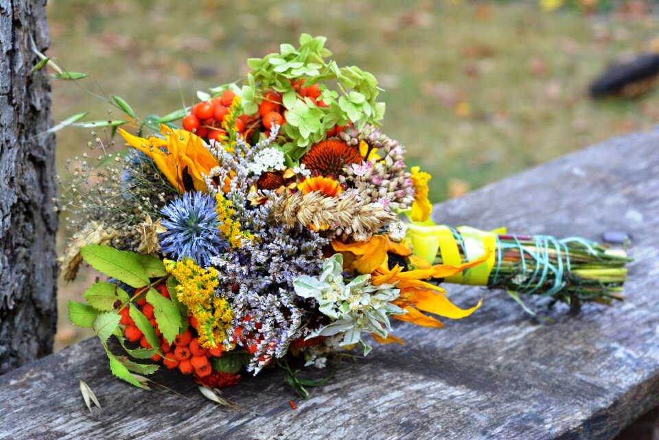 Flowers wildflowers field plant hallow our lady zielna