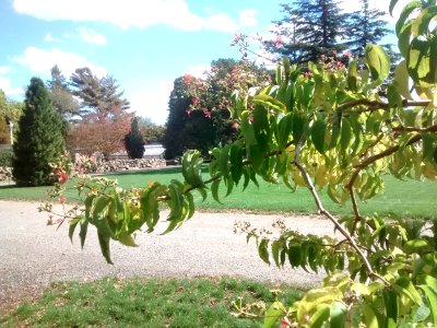 IMG 20151016 131533707