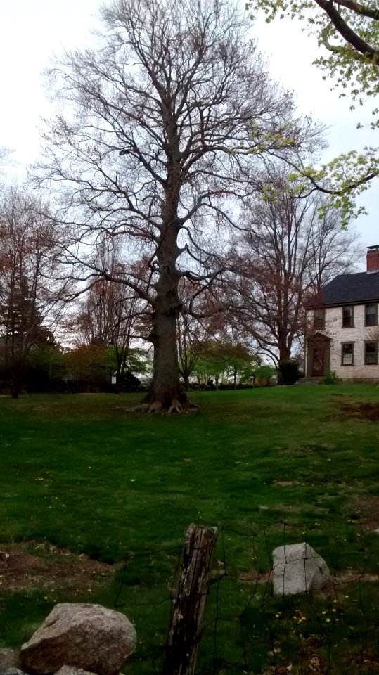 IMG 20150505 112750891