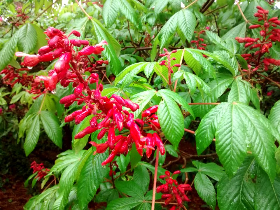 IMG 20150519 162455834