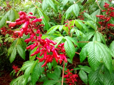IMG 20150519 162455834