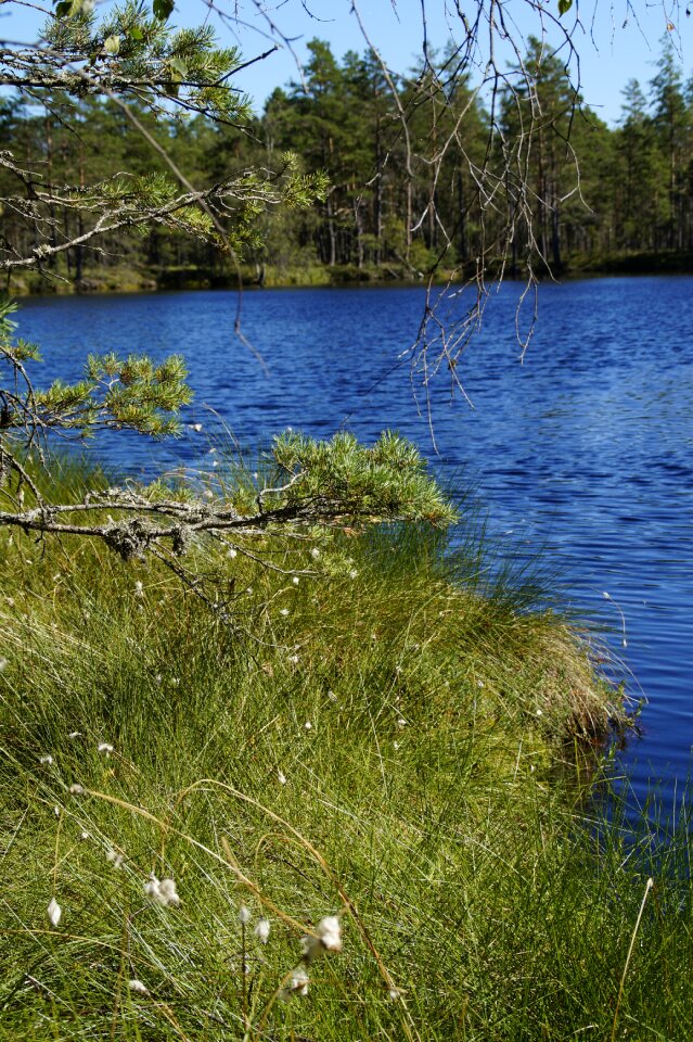 Wetland nature conservation nature reserve
