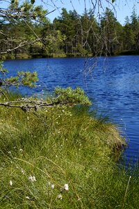 Wetland nature conservation nature reserve