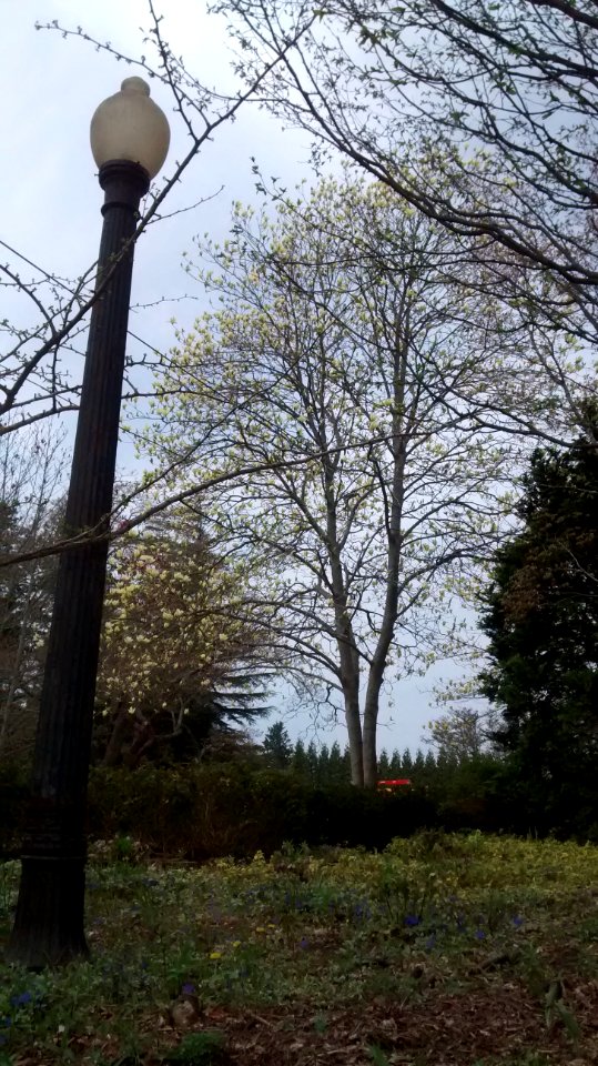 IMG 20150505 110020985
