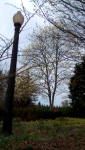 IMG 20150505 110020985