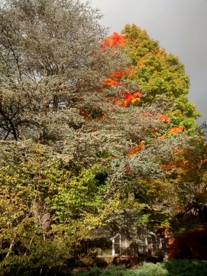 2015-11-11 11-53-19