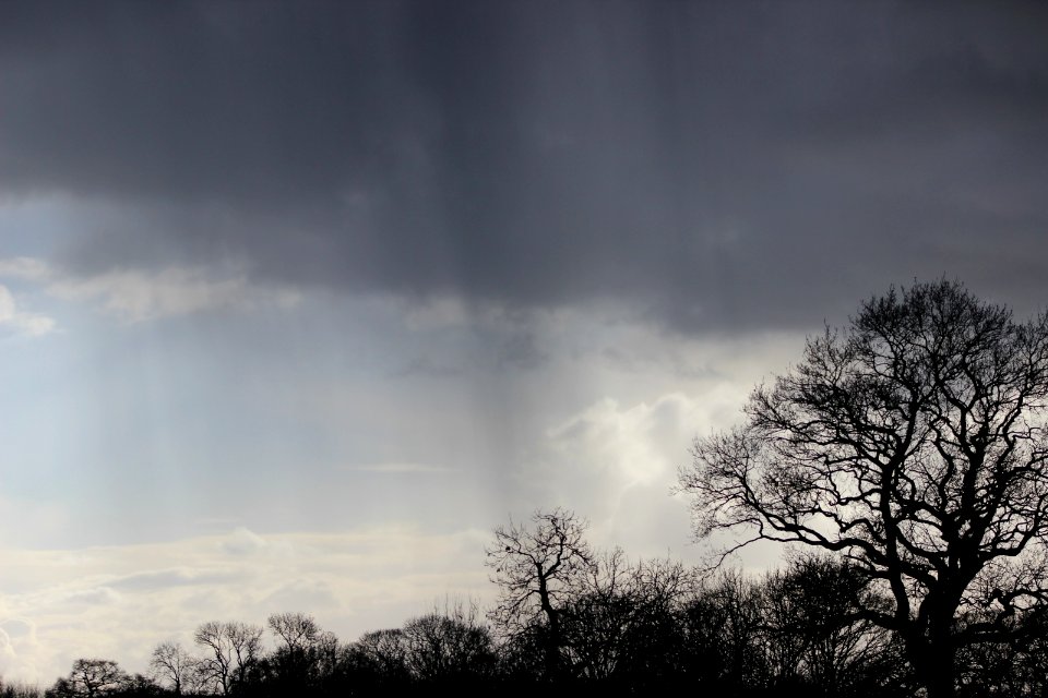 Cloudy with Showers
