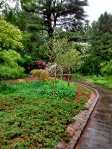 IMG 20150519 162542297 HDR