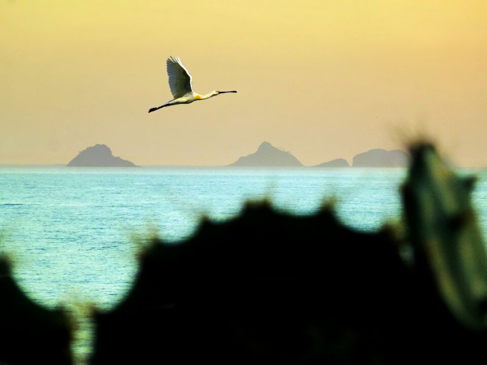 Litoral serra mountains