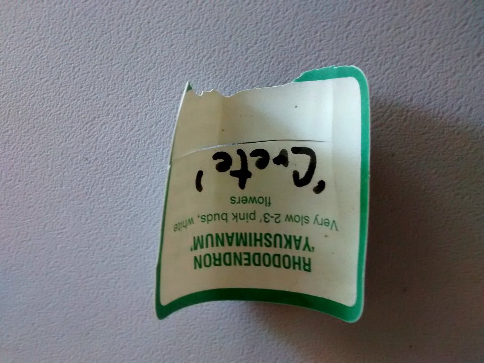 IMG 20150827 093213986