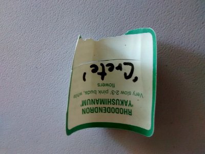 IMG 20150827 093213986