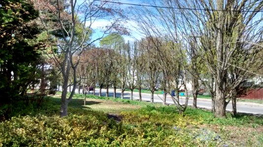 IMG 20150505 150100959 HDR