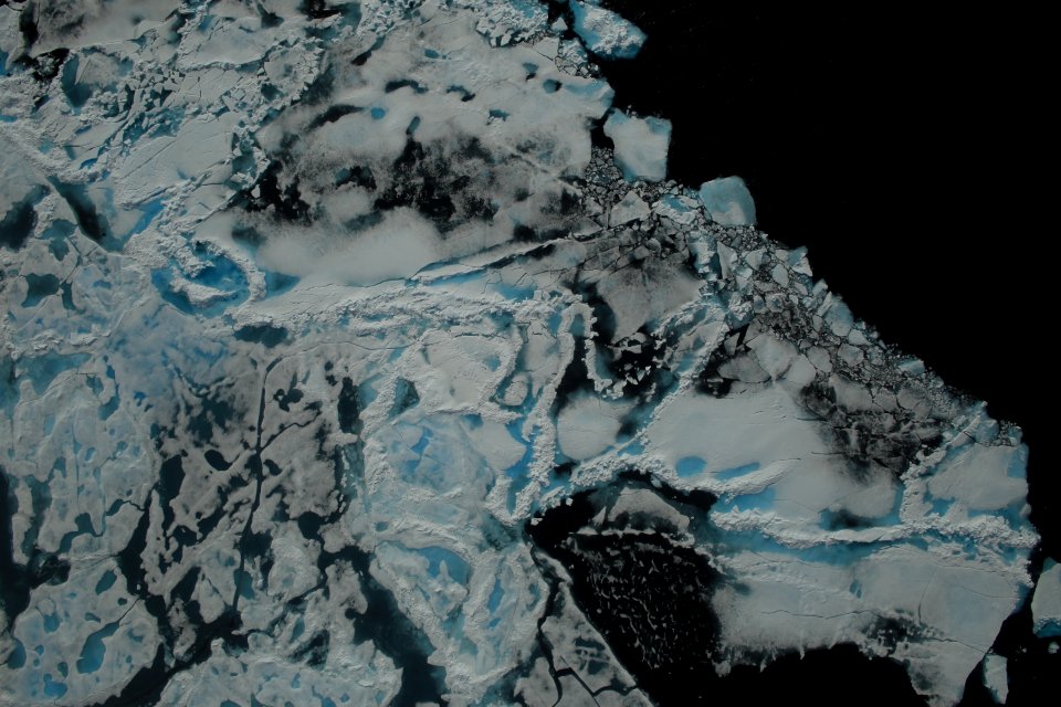 Arctic sea ice-2