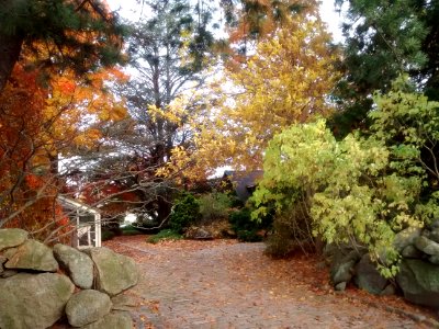 2015-11-11 11-28-11
