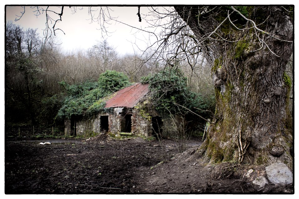 Deserted