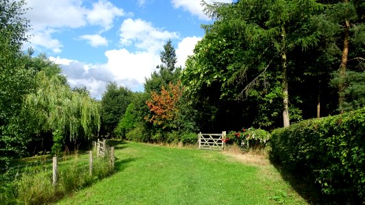 Sandbach Footpath 40 photo