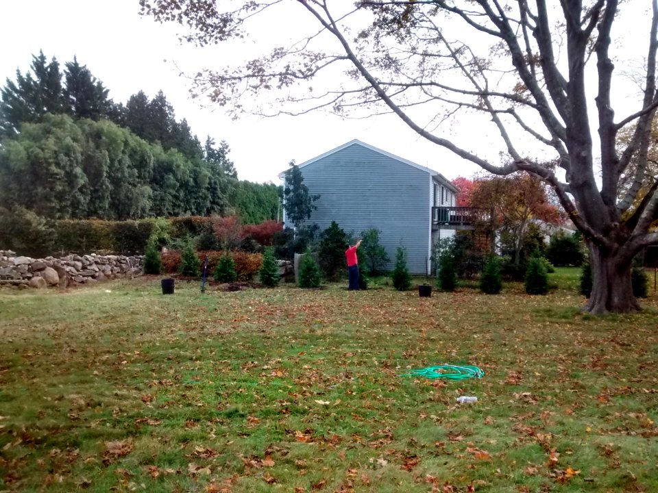IMG 20151102 120932440 HDR