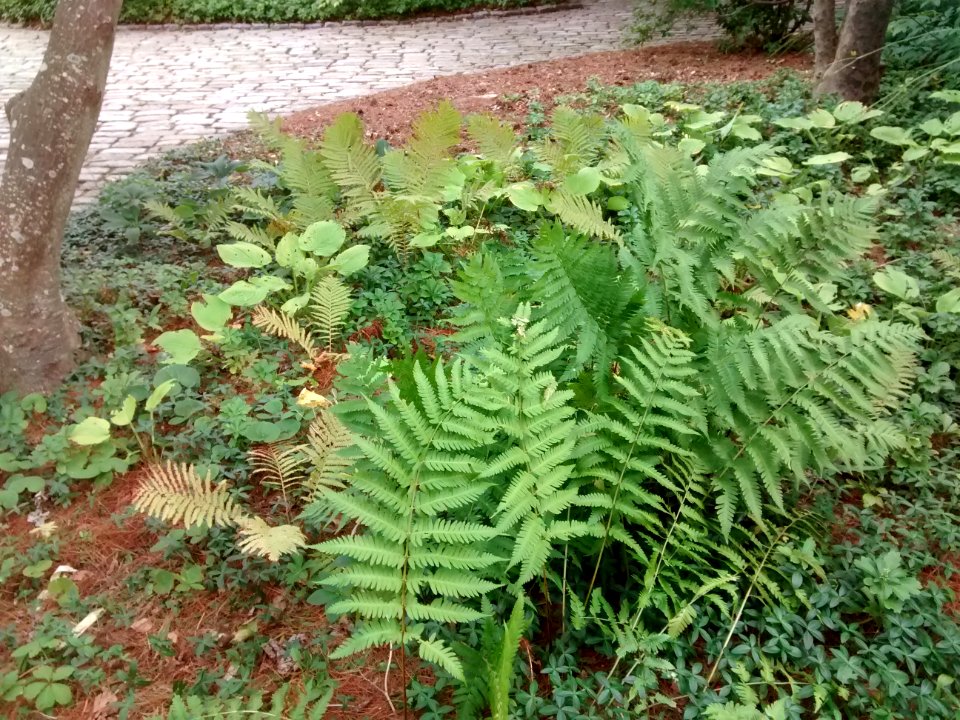 IMG 20151005 152355798