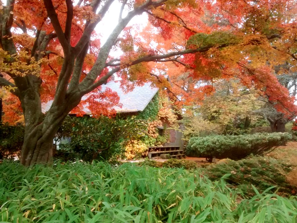IMG 20151106 110945462
