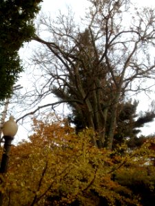 IMG 20151029 165257542