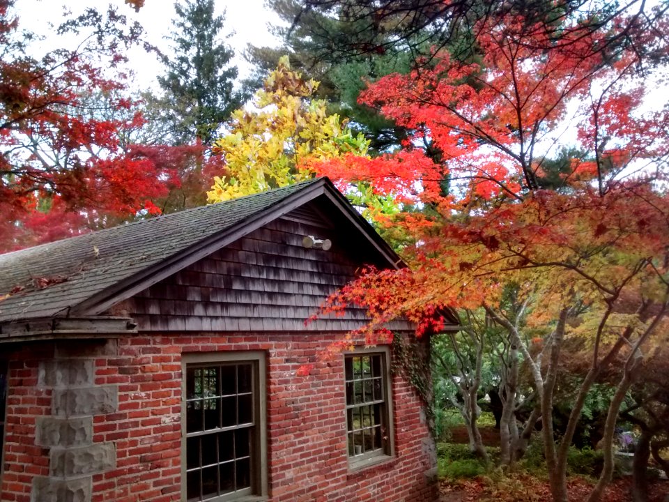 IMG 20151028 120845055 HDR