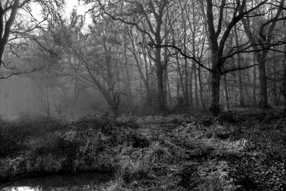 IMG 6596 7 8 filtered