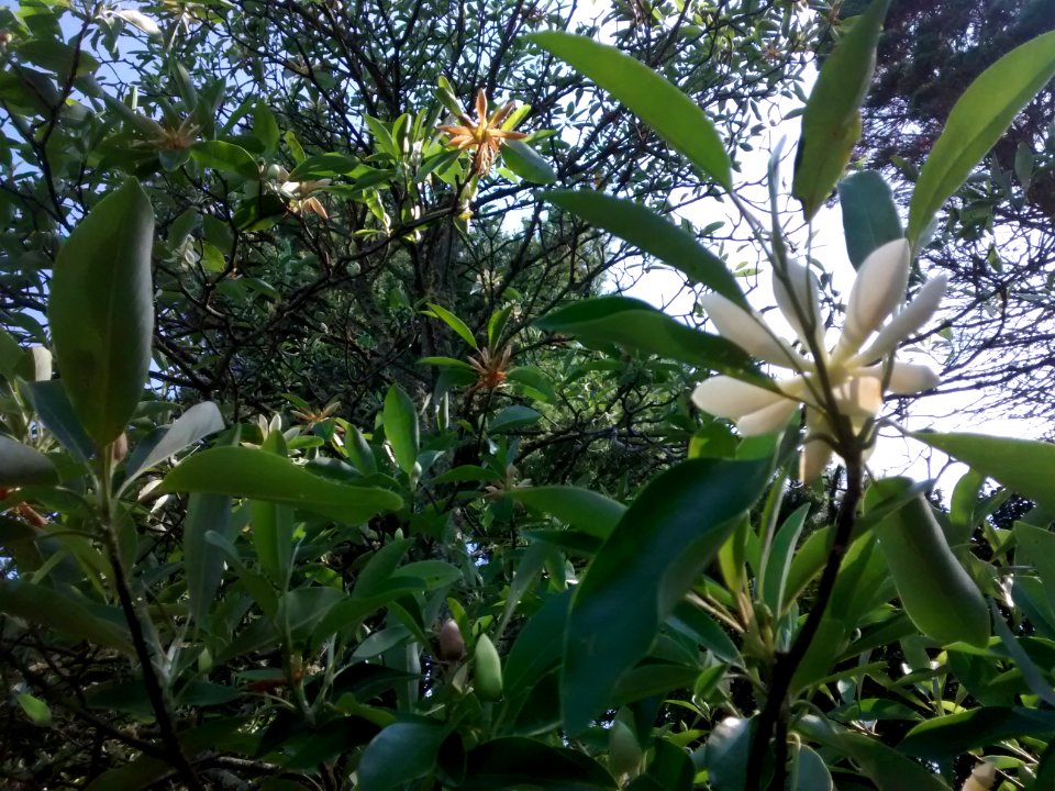 IMG 20150630 090825594