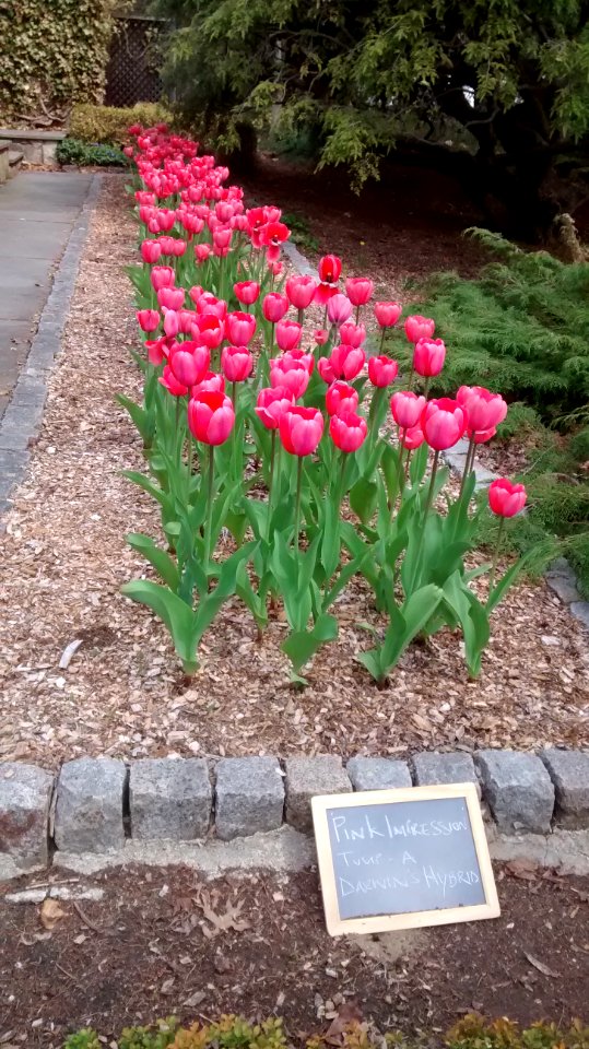 IMG 20150505 100701965