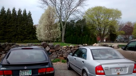 IMG 20150505 111346350