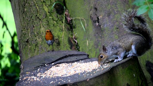 "Hey. Leave some for me"! photo