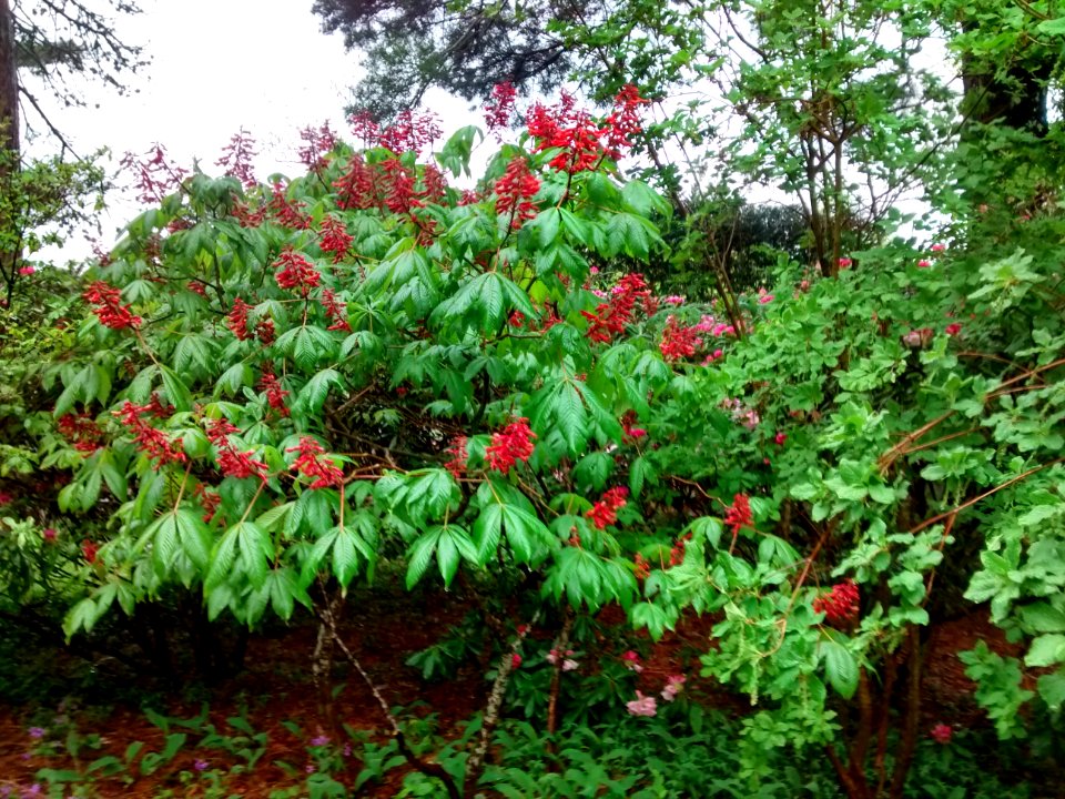 IMG 20150519 162332700 HDR