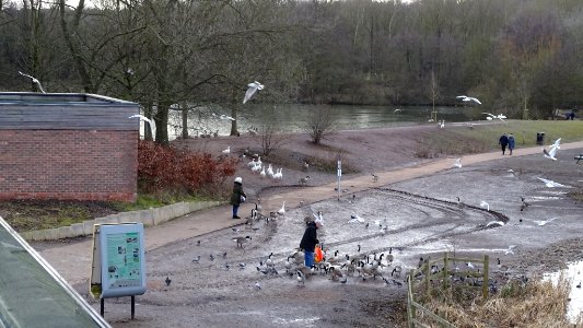 Westport Lakeside photo