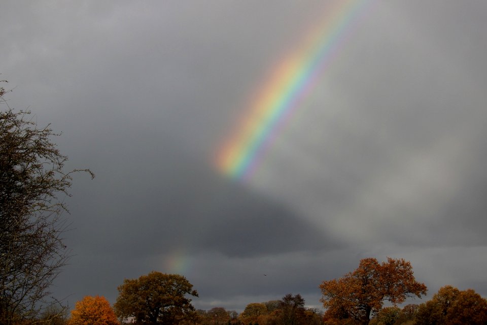 Rainbow in the Spotlights