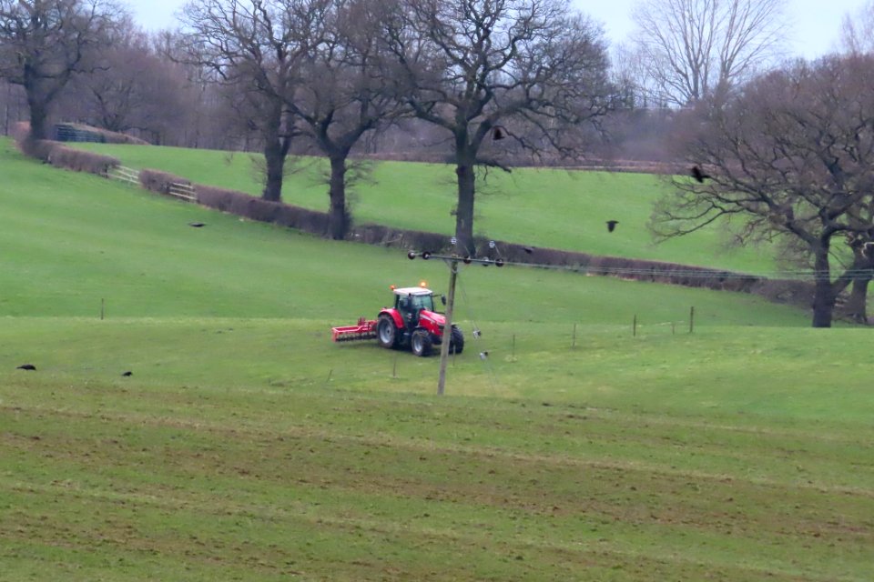 Houndings Lane Farmland