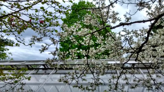 IMG 20150513 164714212 HDR