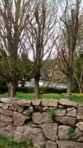 IMG 20150505 102537329