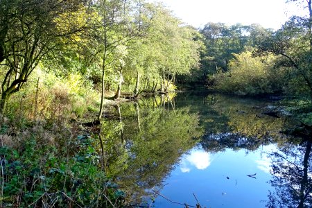 Westport Lake