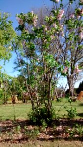IMG 20150514 163010186
