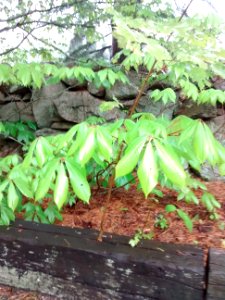 IMG 20150519 152559945